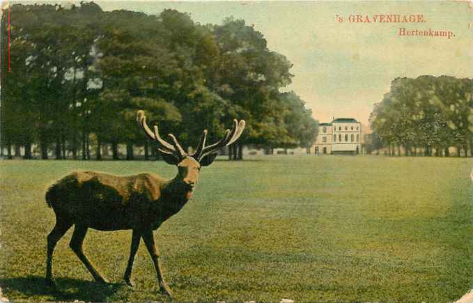 Den Haag Hertenkamp