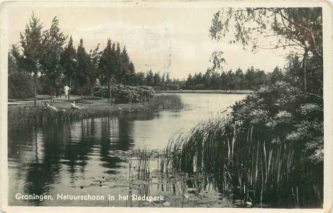 Groningen Natuurschoon in het Stadspark