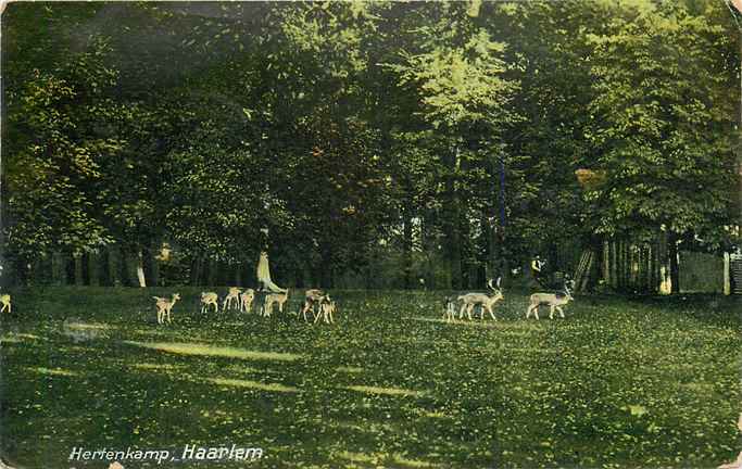 Haarlem Hertenkamp