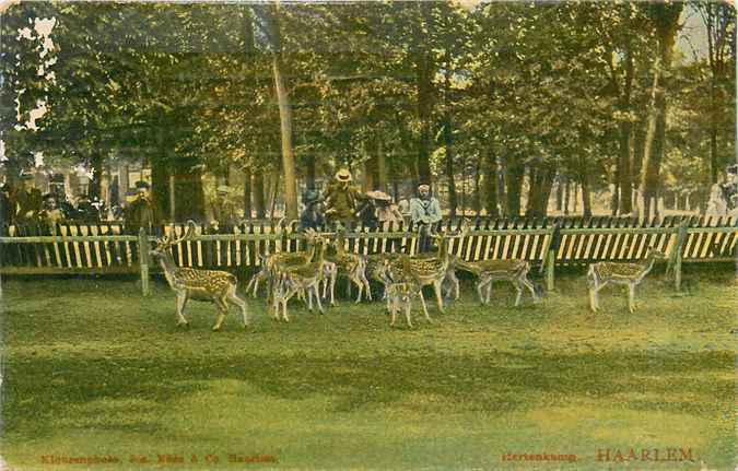 Haarlem Hertenkamp