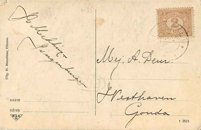 Nederland Middachter allee