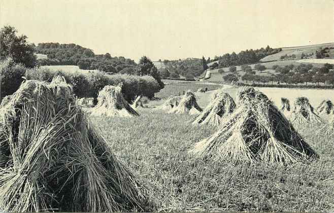 Brunssum Zuid Limburgs landschap bij Benzenrade