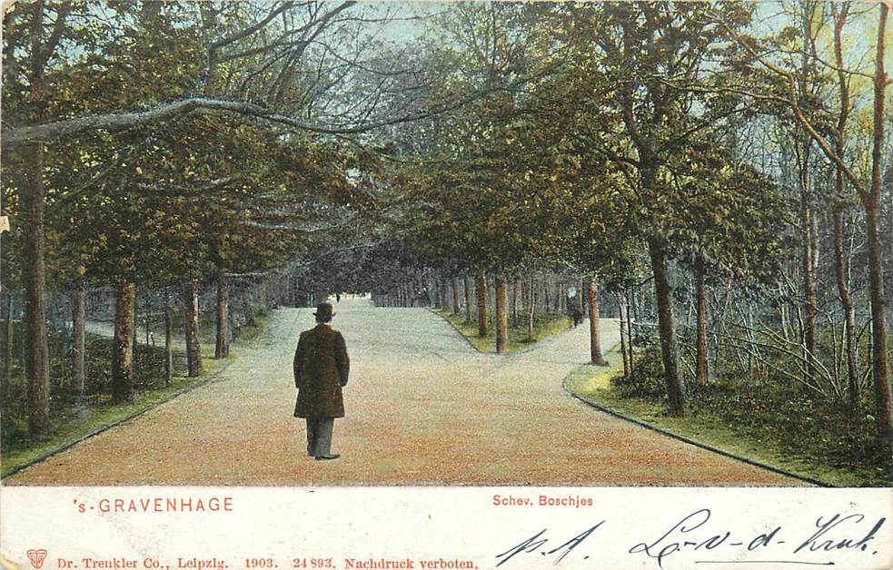 s-Gravenhage Schev. Boschjes