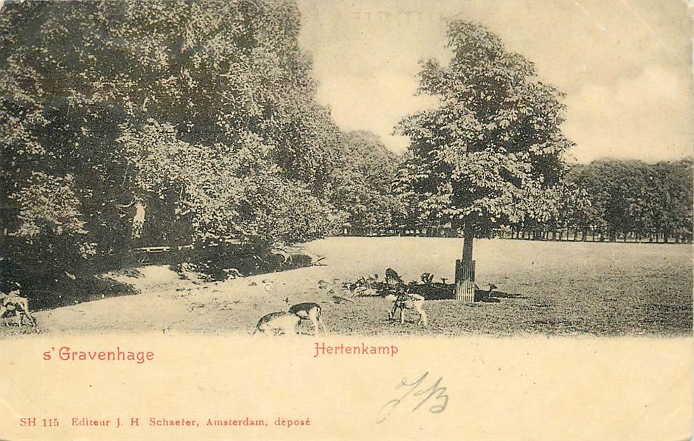 s-Gravenhage Hertenkamp