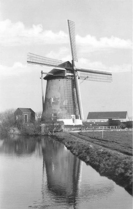 Schipluiden Groeneveldsche polder voorjaar 1975