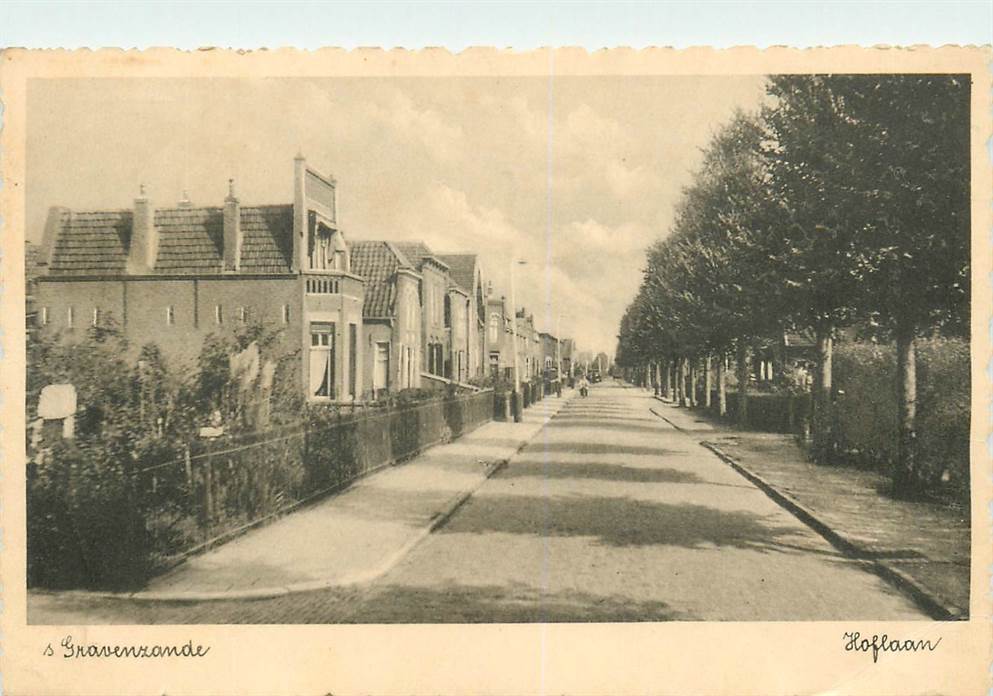 s-Gravenzande Hoflaan