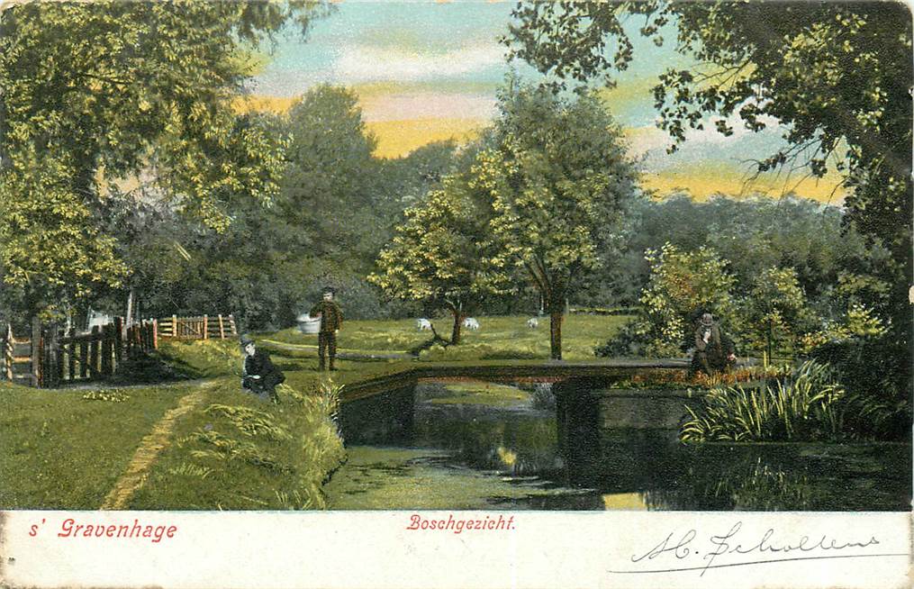 s-Gravenhage Boschgezicht