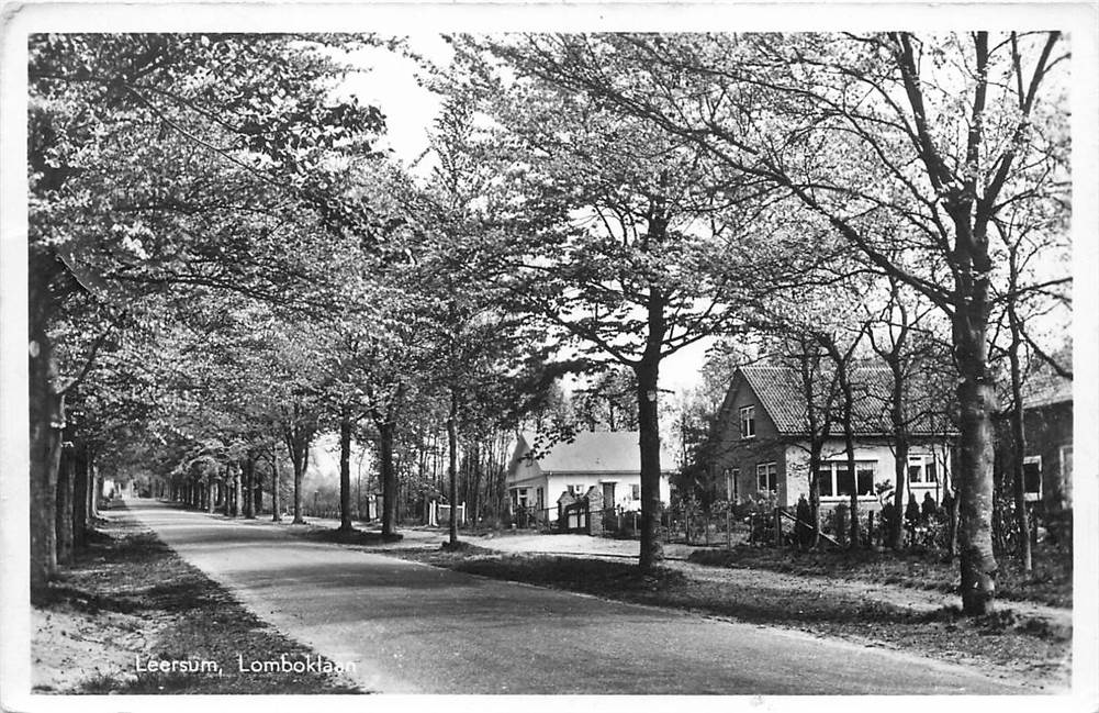 Leersum Lomboklaan