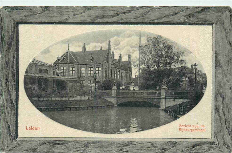 Leiden Gezicht v/a de Rijnburgersingel