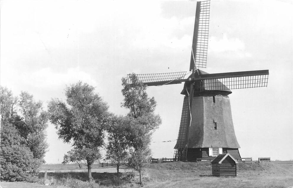 Schermerhorn Molen