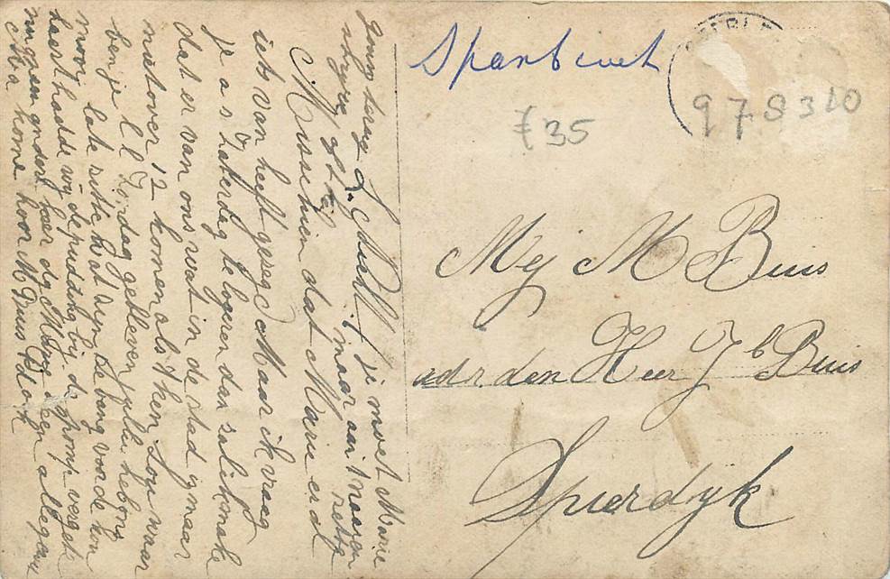 Holland Versierde koets met paarden