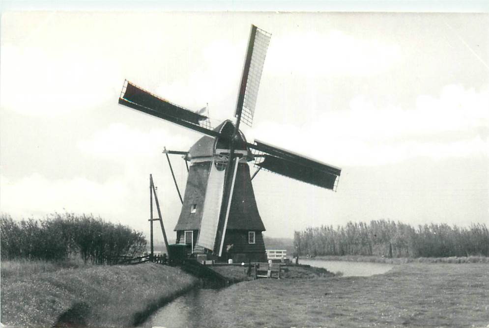 Uitgeest De Dorregeester Molen