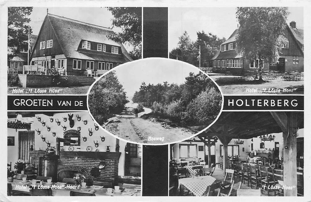 Holten Groeten van de Holterberg