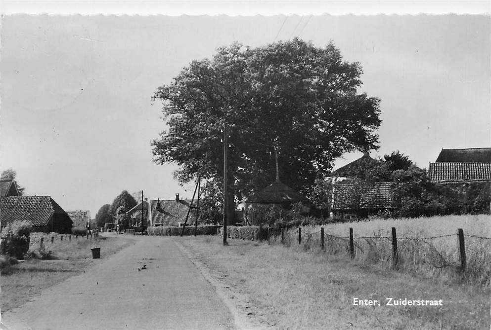 Enter Zuiderstraat