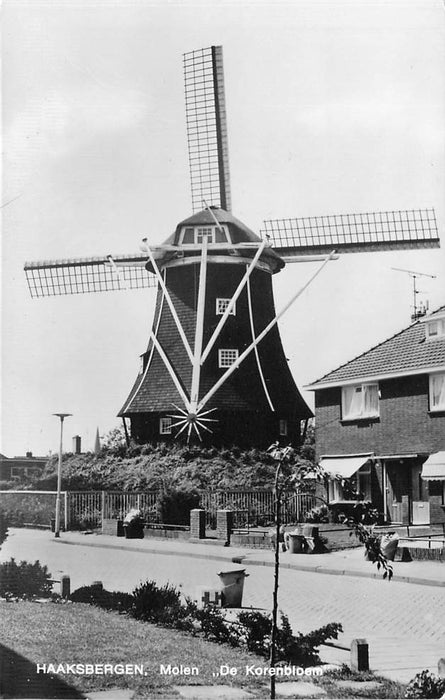 Haaksbergen Molen De Korenbloem