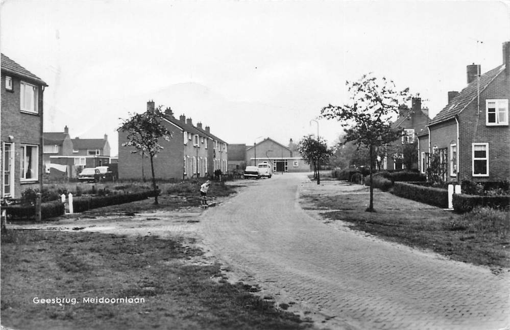 Geesbrug Meidoornlaan