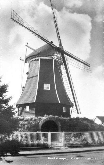 Haaksbergen Korenbloemmolen