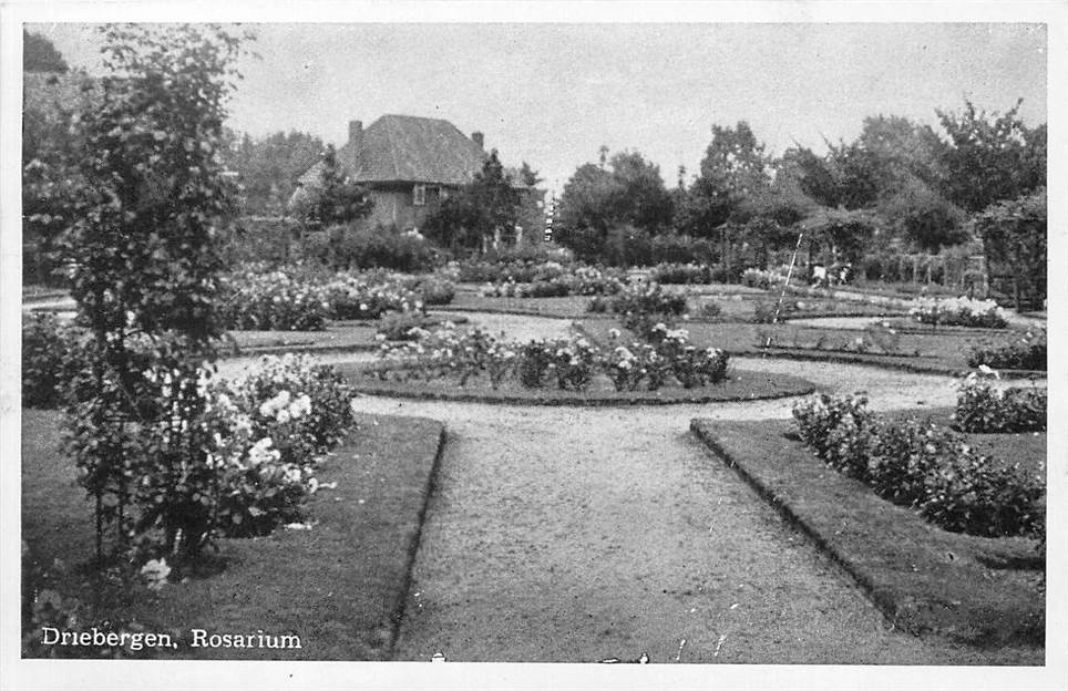 Driebergen Rosarium