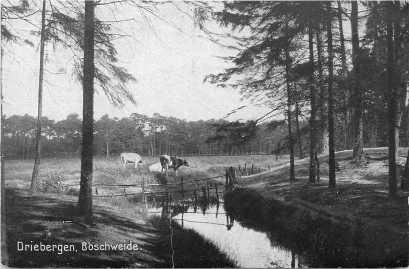 Hilversum Boschweide