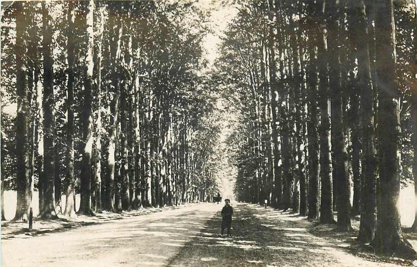 De Steeg Middachterallee