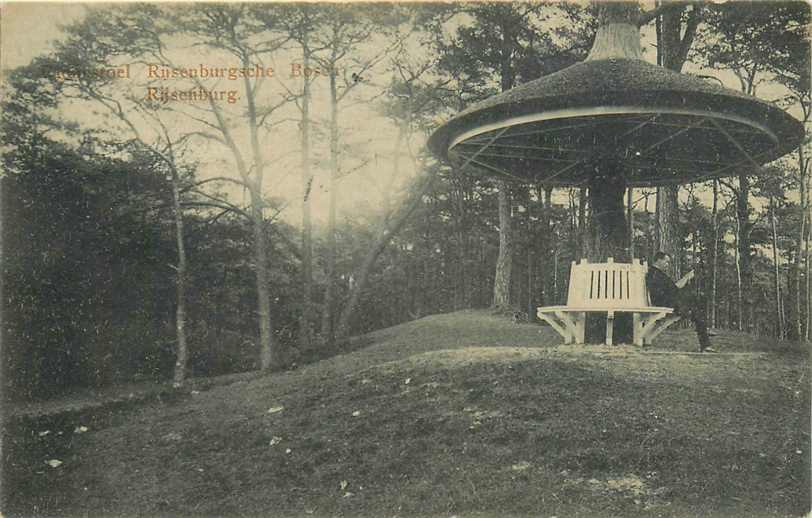 Rijsenburg Paddestoel Rijseburgsche Bos