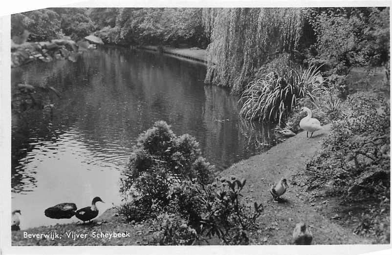 Beverwijk Vijver Scheybeek