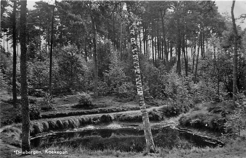 Driebergen Koekepan