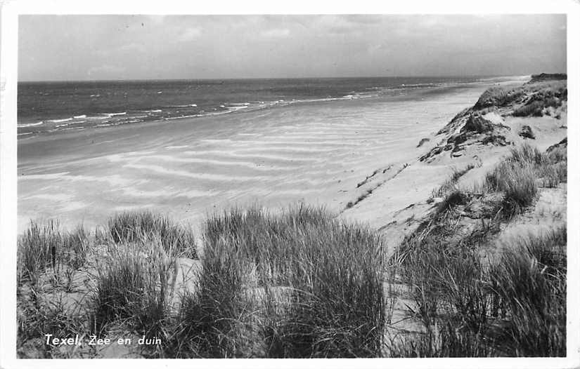 Texel Zee en duin