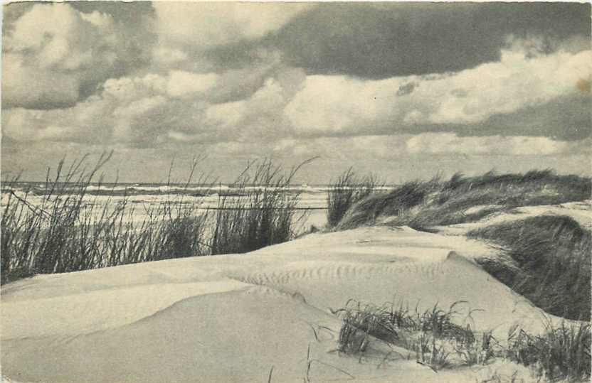 Nederland Duinen