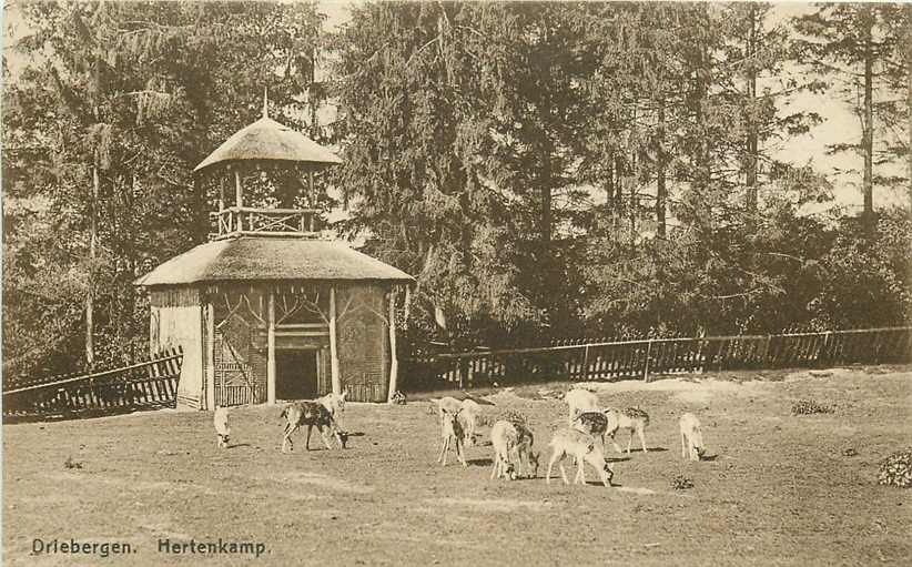 Driebergen Hertenkamp