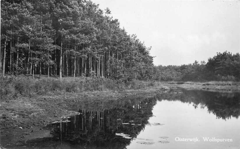 Oisterwijk Wolfsputven