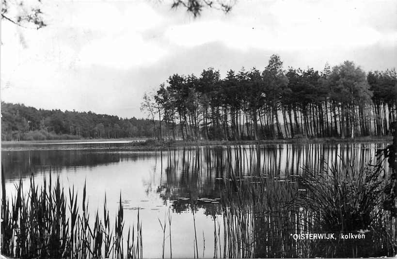 Oisterwijk Kolkven