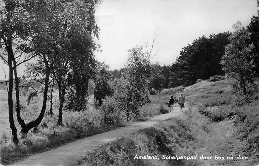 Ameland