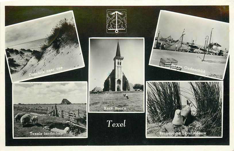 Texel