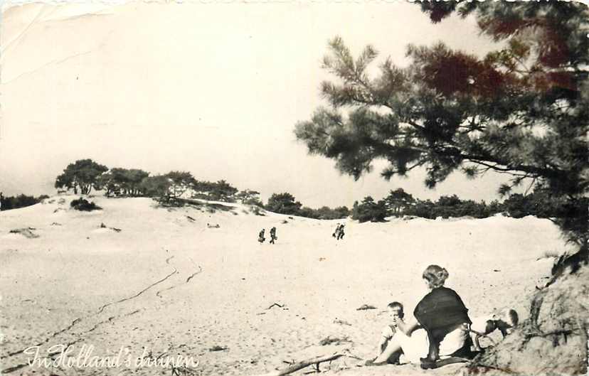 In Hollands Duinen
