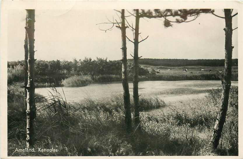 Ameland