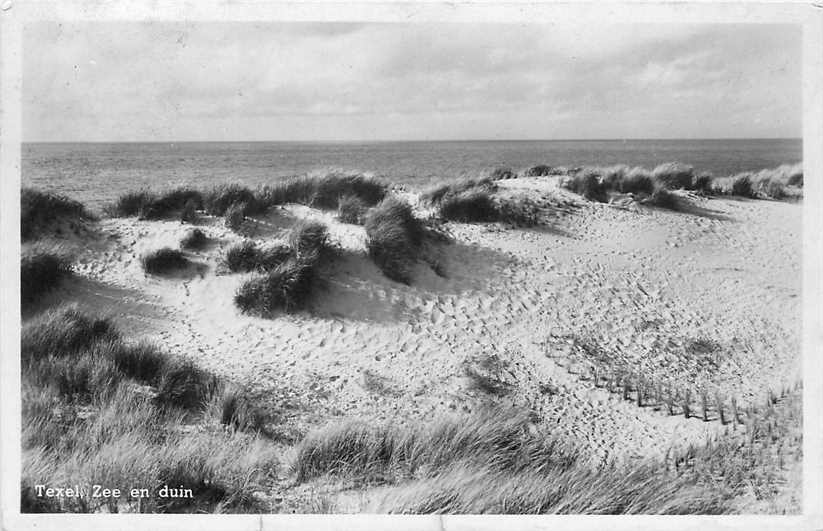 Texel Zee en Duin