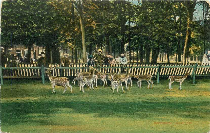 Haarlem Hertenkamp