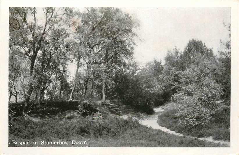 Doorn Bospad in Stamerbos