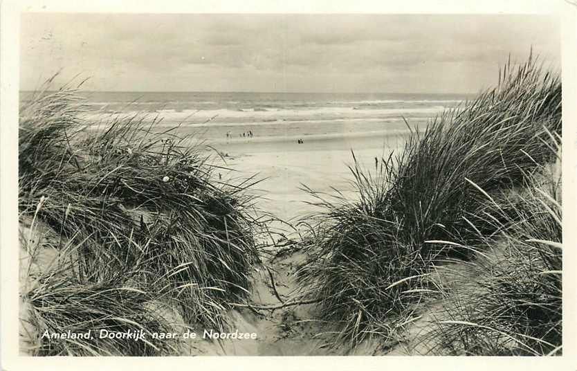 Ameland Doorkijk naar de Noordzee