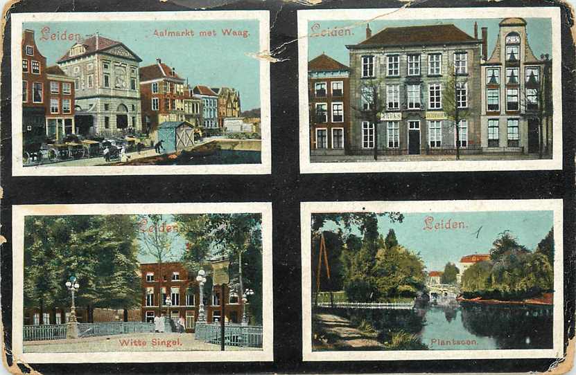 Leiden Multiview