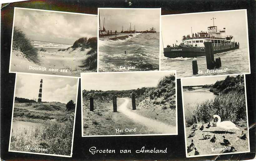 Ameland Multiview