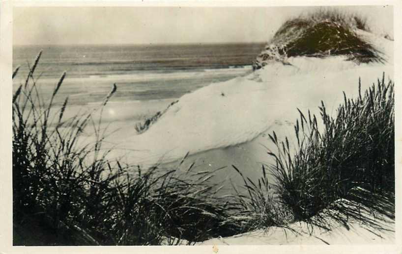 Texel Duingezicht