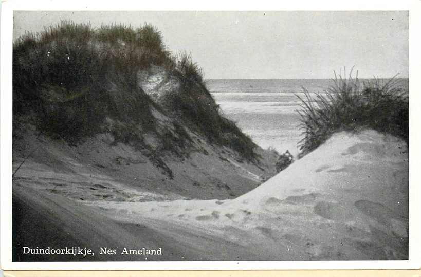 Ameland Duindoorkijkje