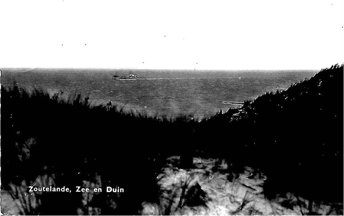 Zoutelande Zee en Duin