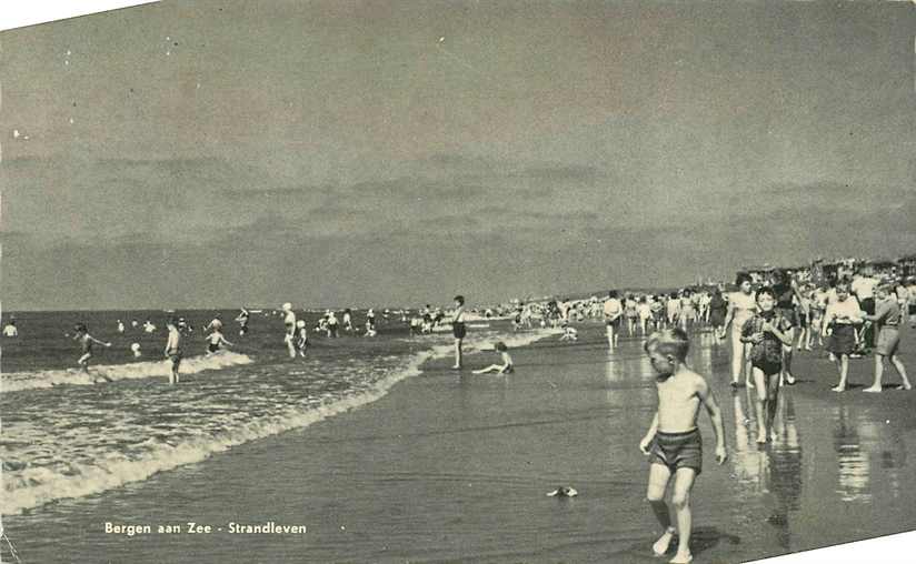 Bergen aan Zee Strandleven