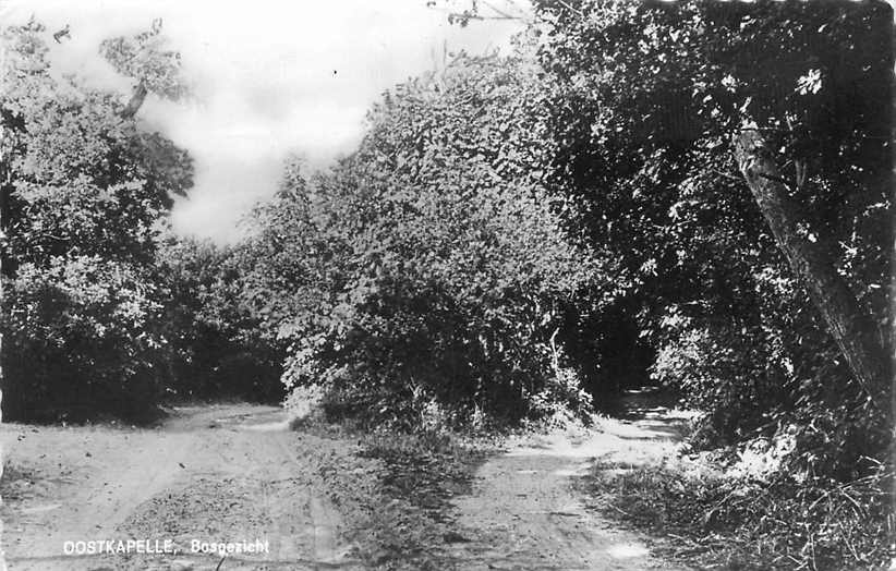 Oostkapelle Bosgezicht