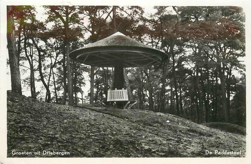 Driebergen De Paddestoel