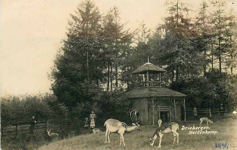 Driebergen Hertenkamp