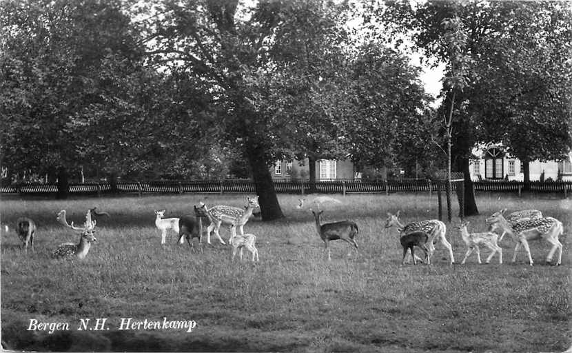 Bergen NH Hertenkamp